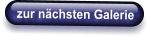 zur nächsten Galerie